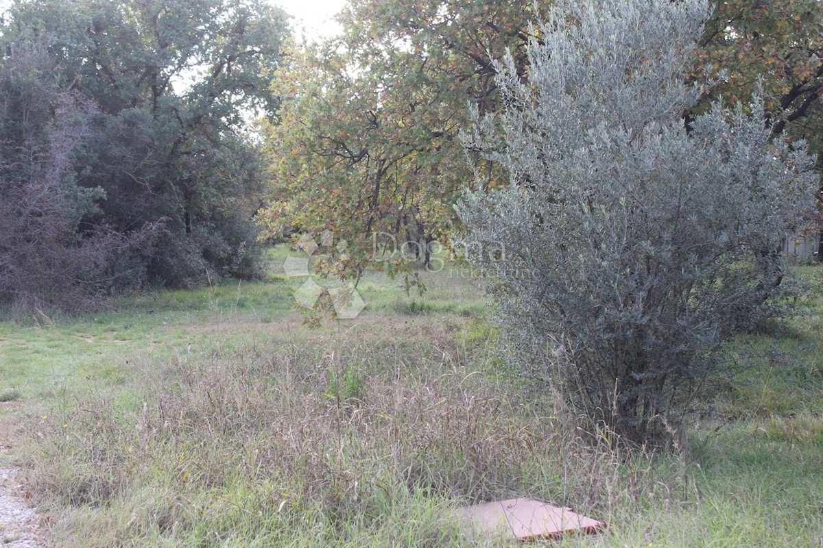 VODNJAN