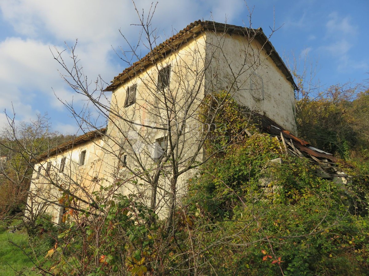 POLJANE