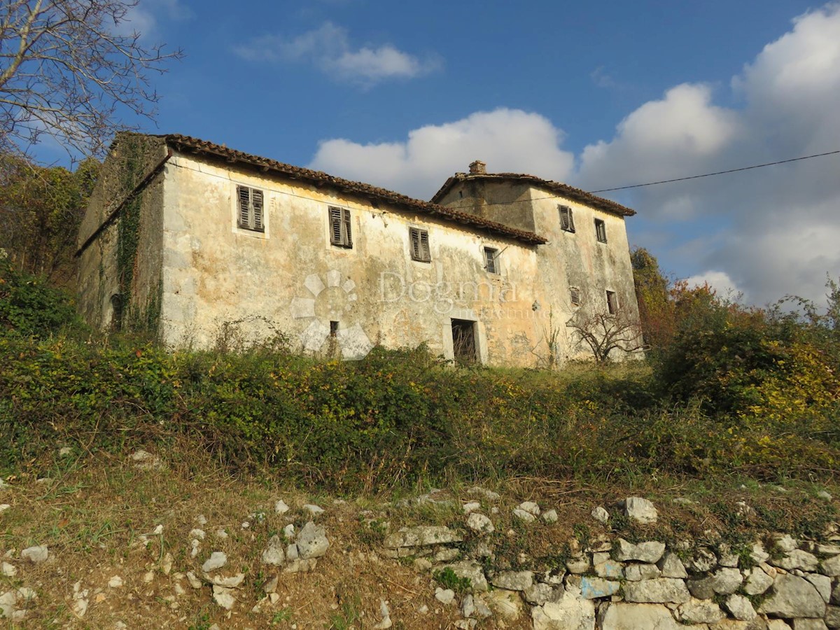 POLJANE