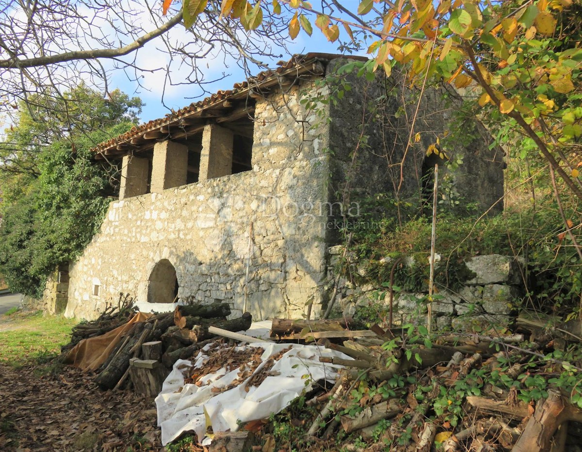 POLJANE