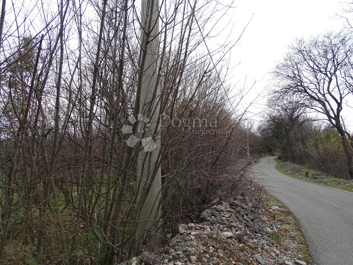 PLEŠIĆI