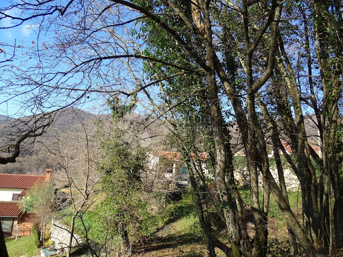 VEPRINAC