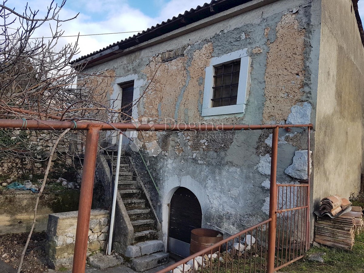GRIŽANE