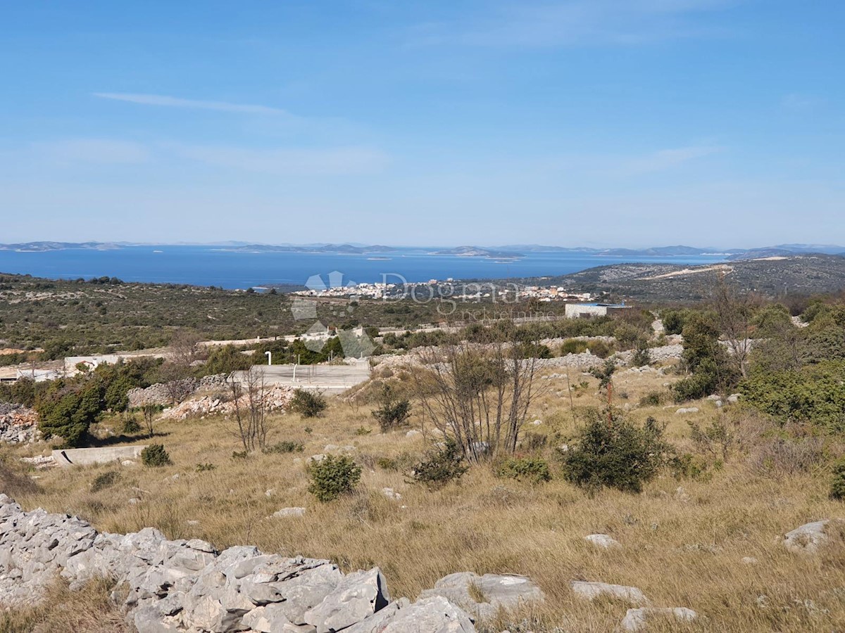 ROGOZNICA