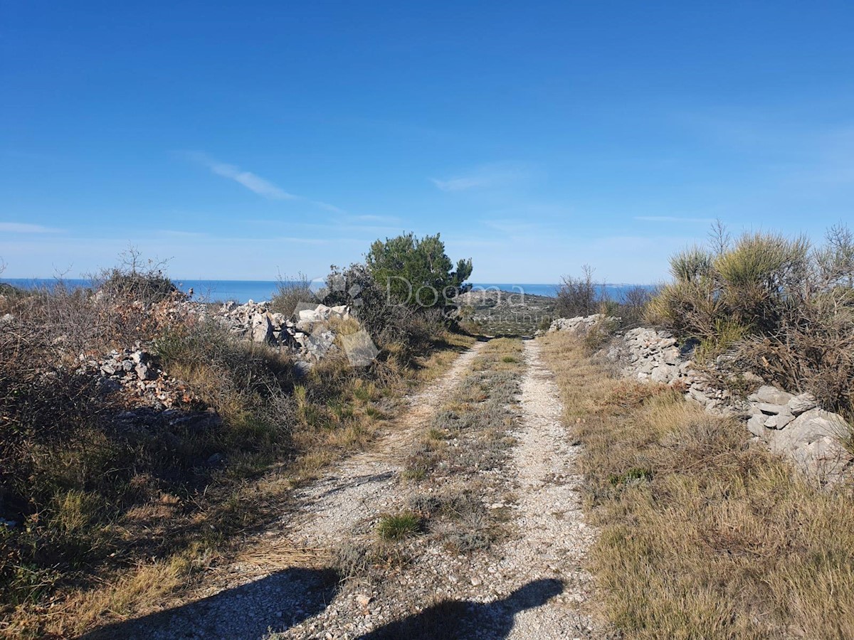 ROGOZNICA