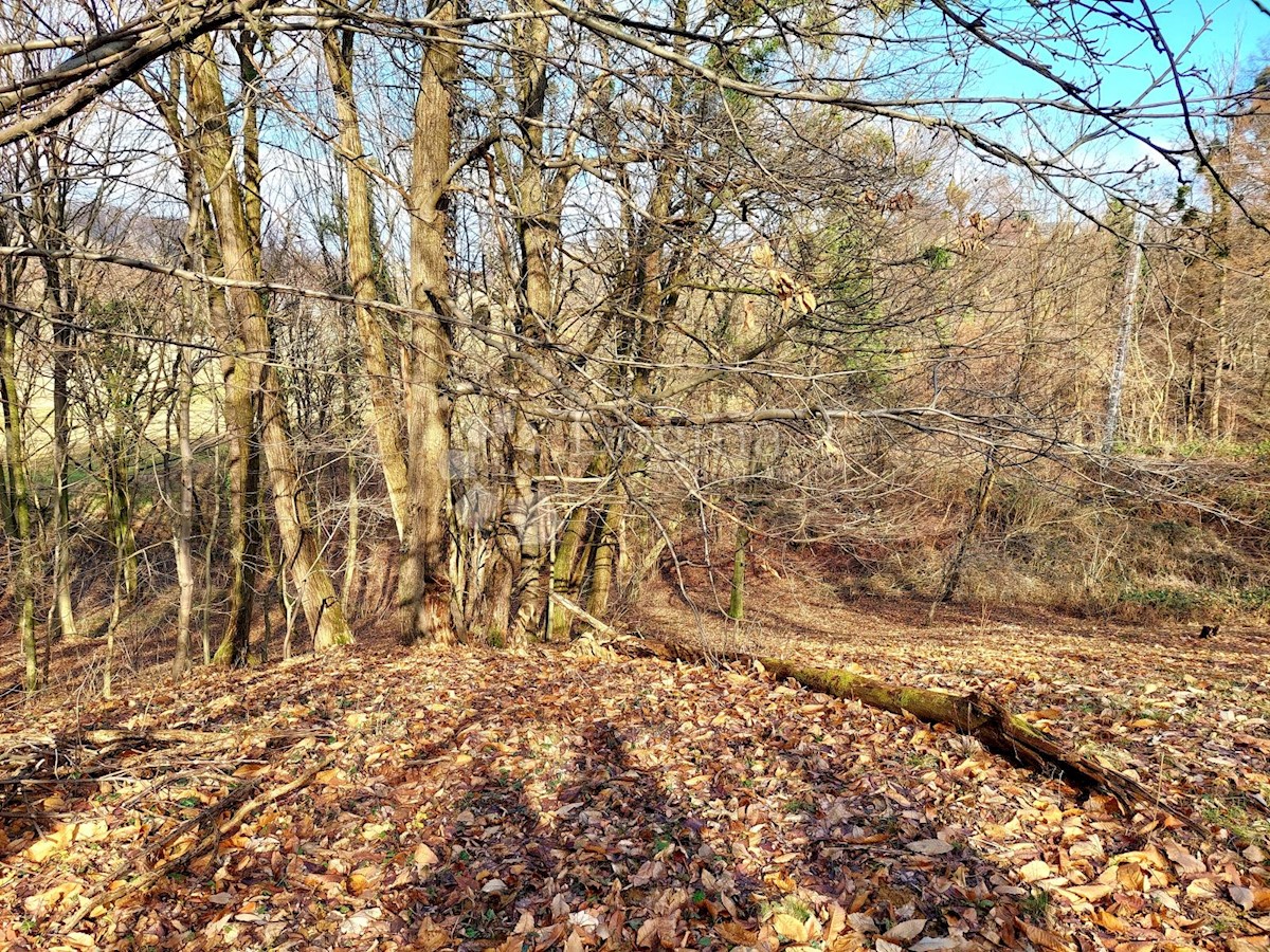 VARAŽDIN BREG