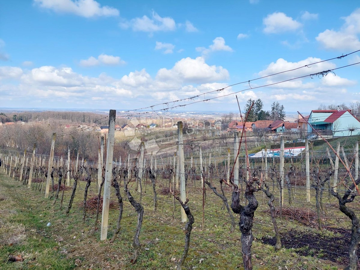 VARAŽDIN BREG