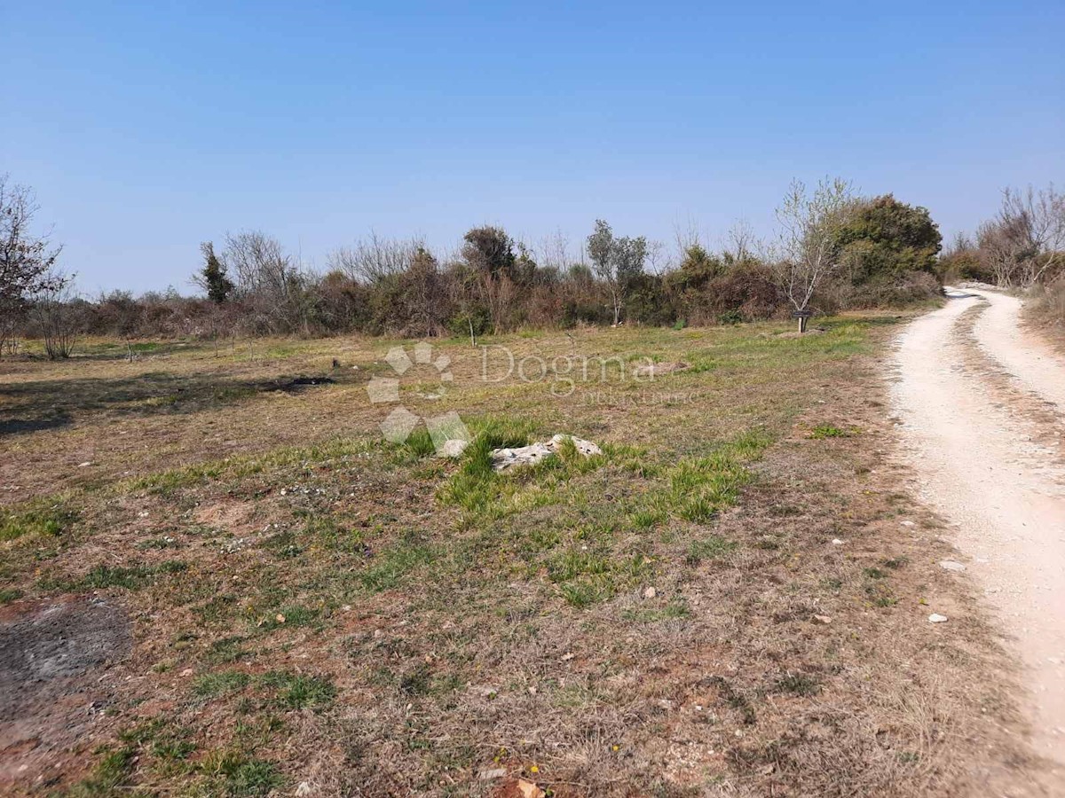 FAŽANA