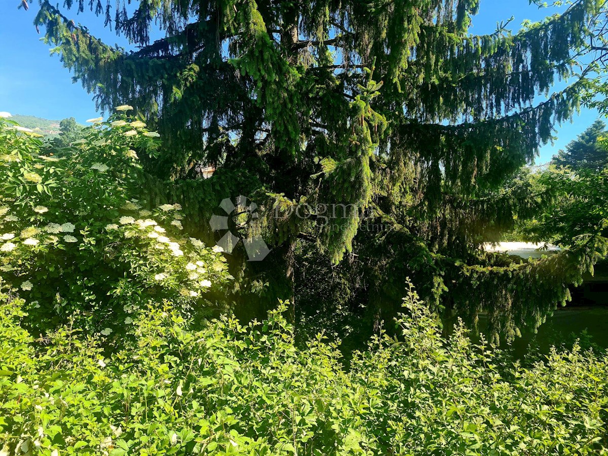 POLJANE