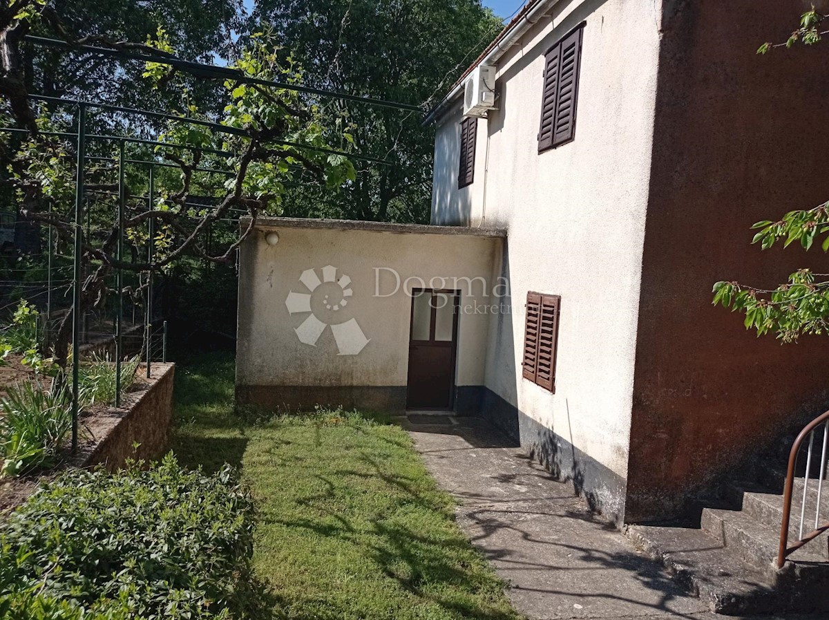 KOŠUTE