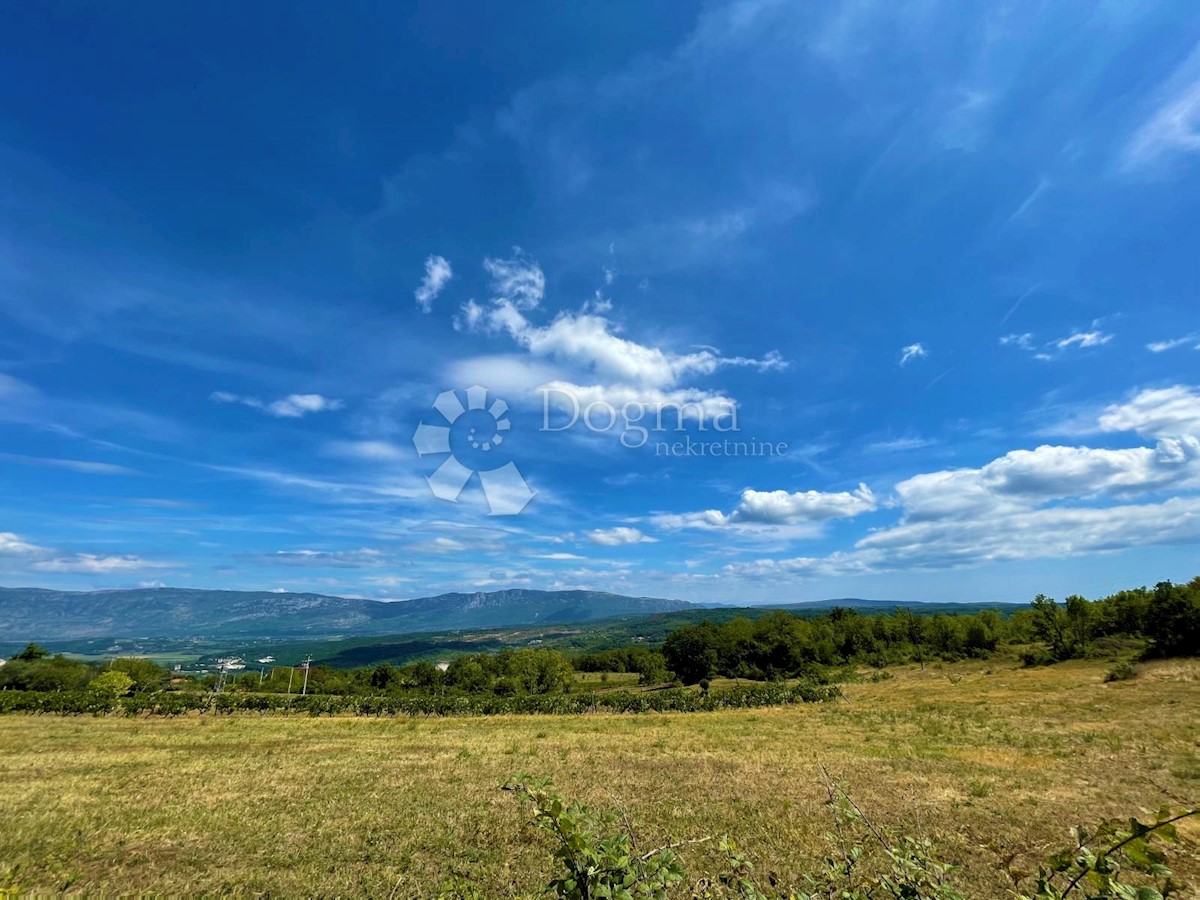 PIĆAN