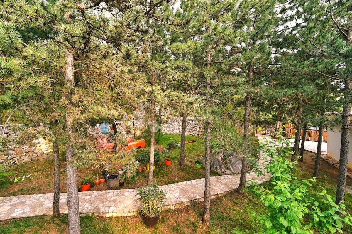 GLAVANI