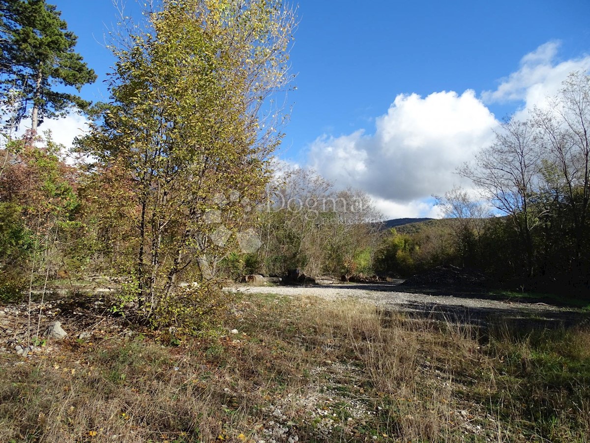 LUPOGLAV