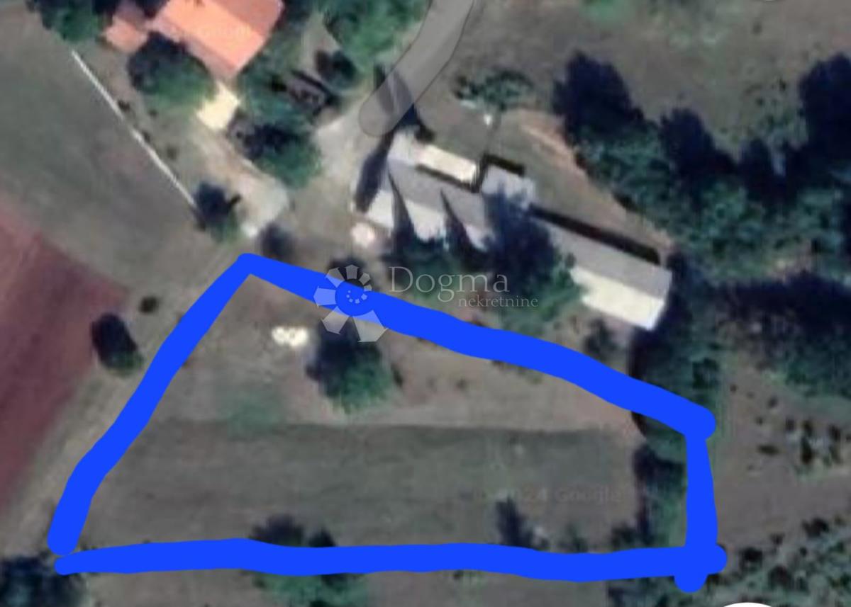 ŽMINJ