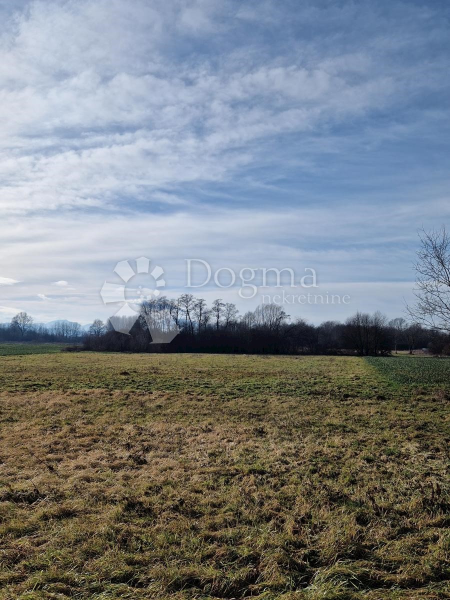VARAŽDIN