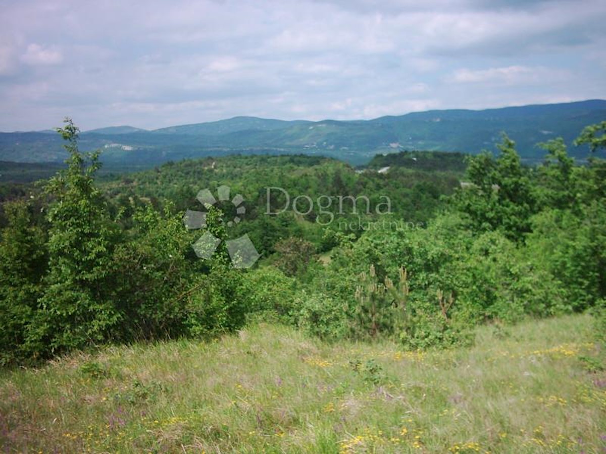 LESIŠĆINA