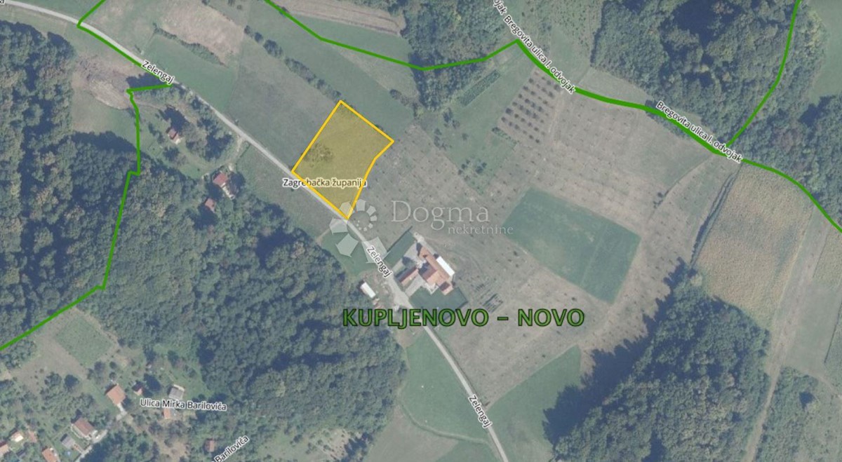 HRUŠEVEC PUŠĆANSKI