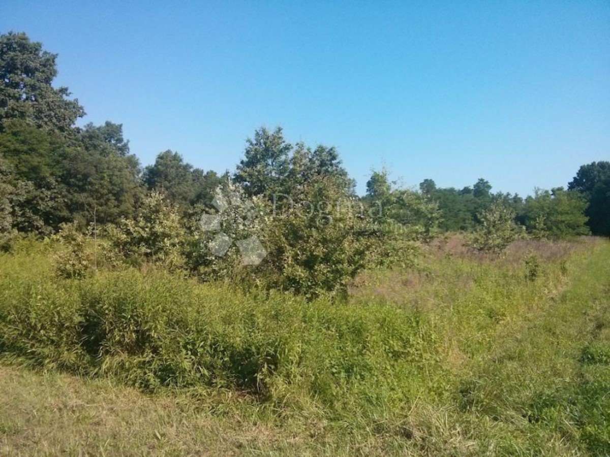 ŽBANDAJ