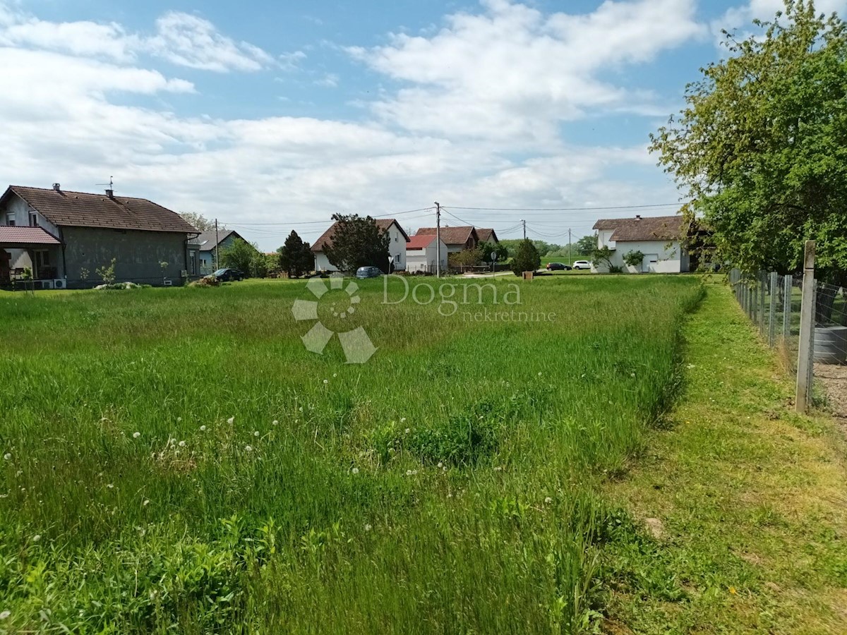 BILJE
