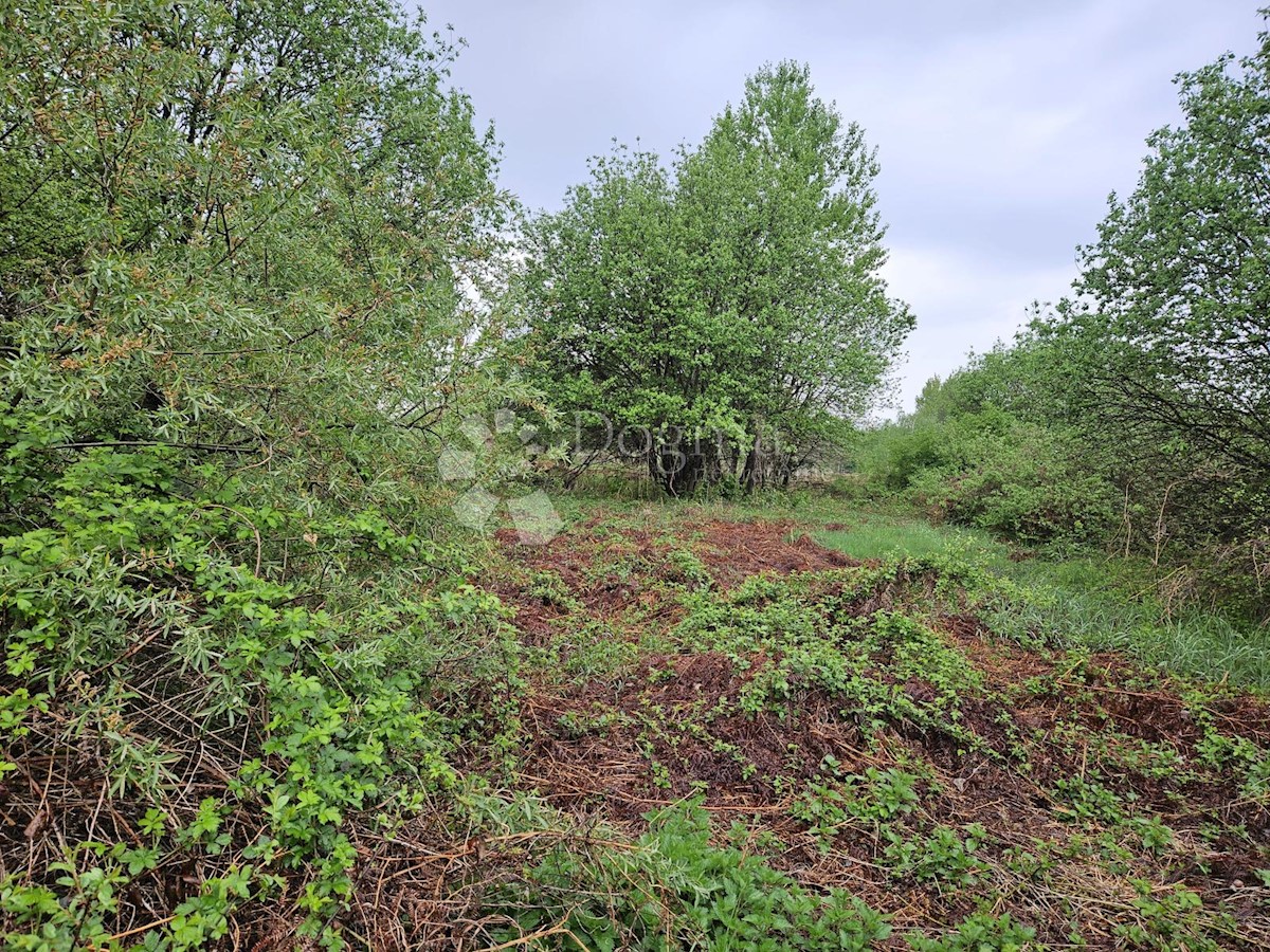 VARAŽDIN