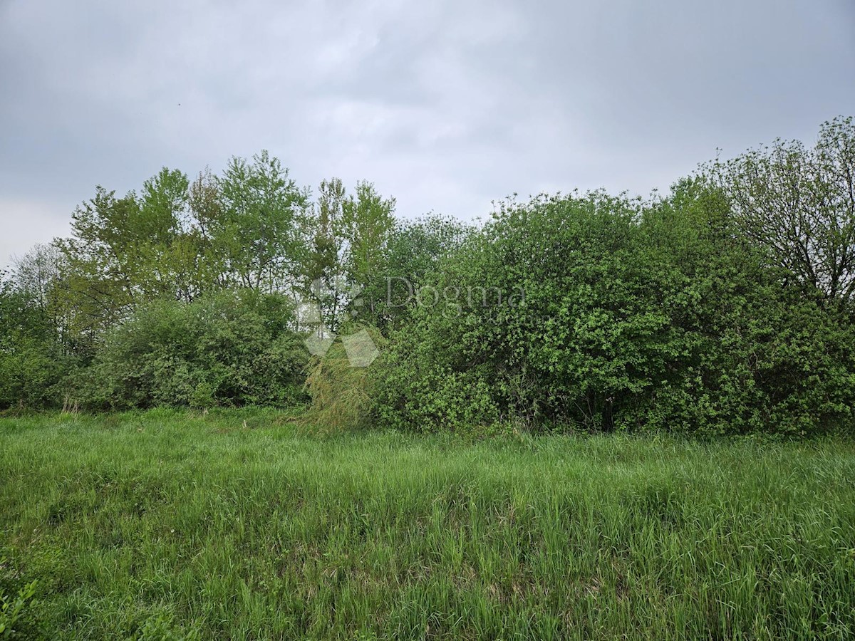 VARAŽDIN