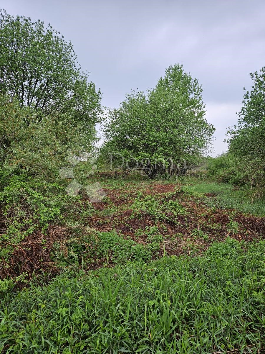 VARAŽDIN