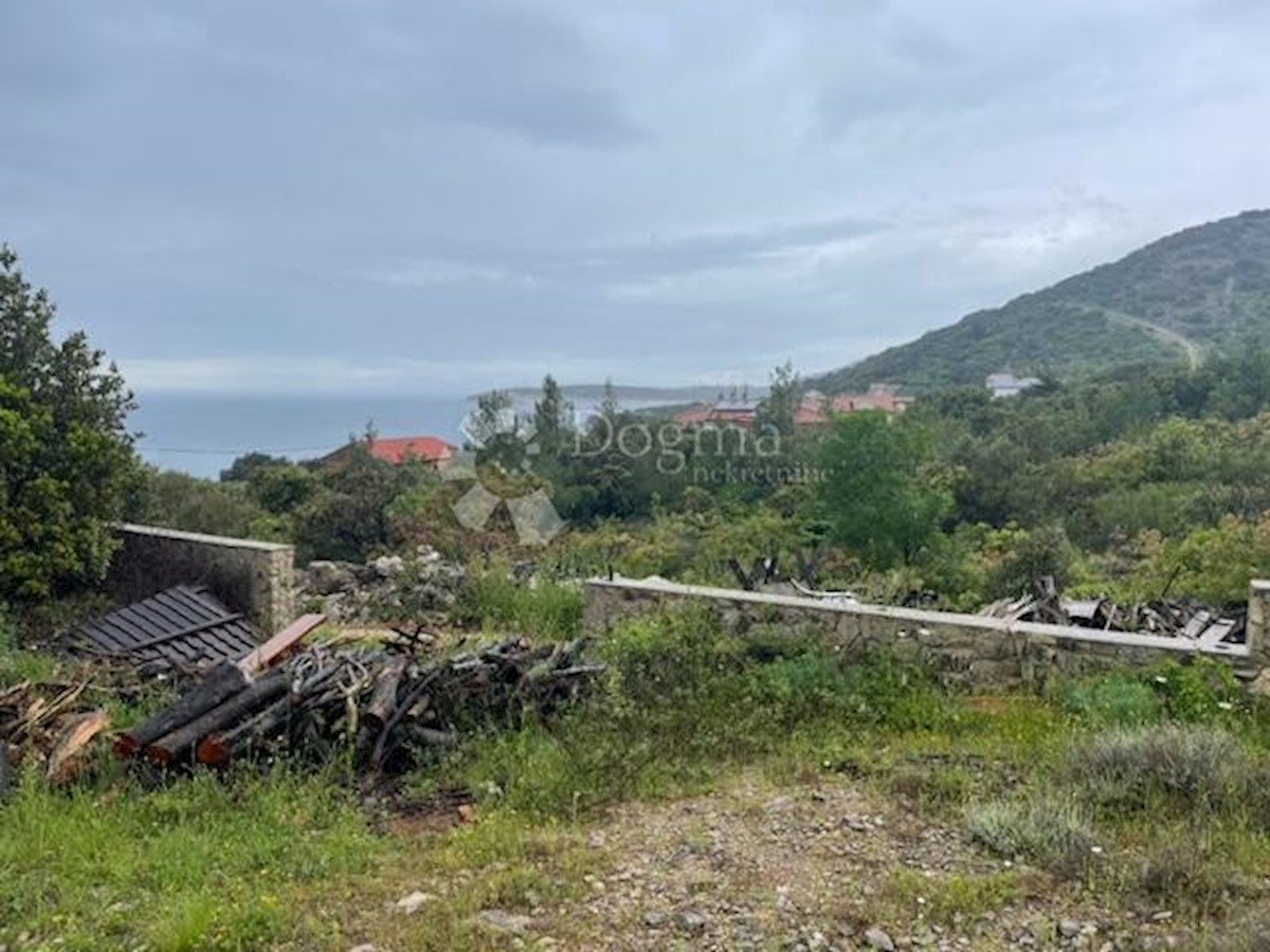 MARTINŠĆICA