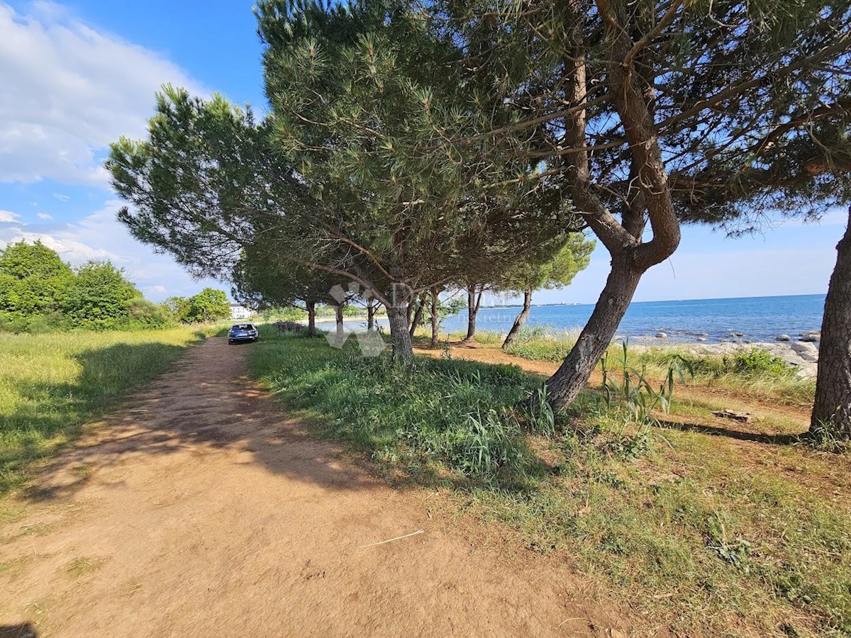 UMAG