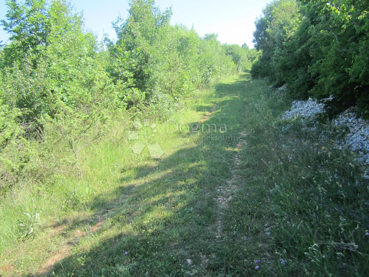 RAKALJ
