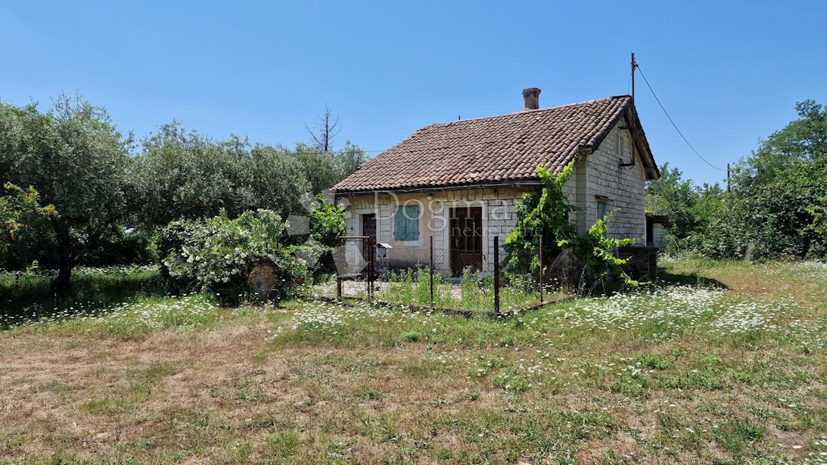 SAVUDRIJA