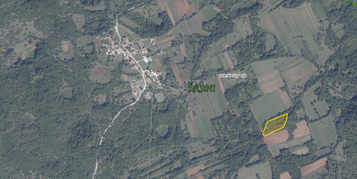 ŠAJINI