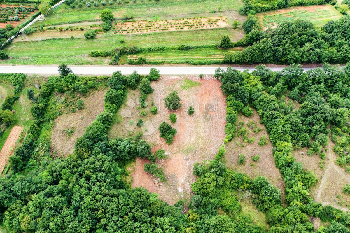 BARBAN