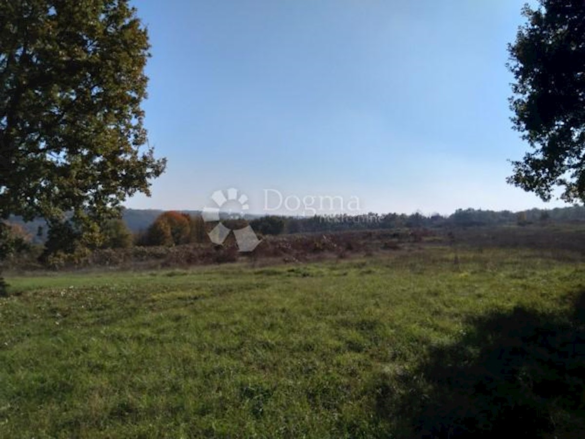 TINJAN