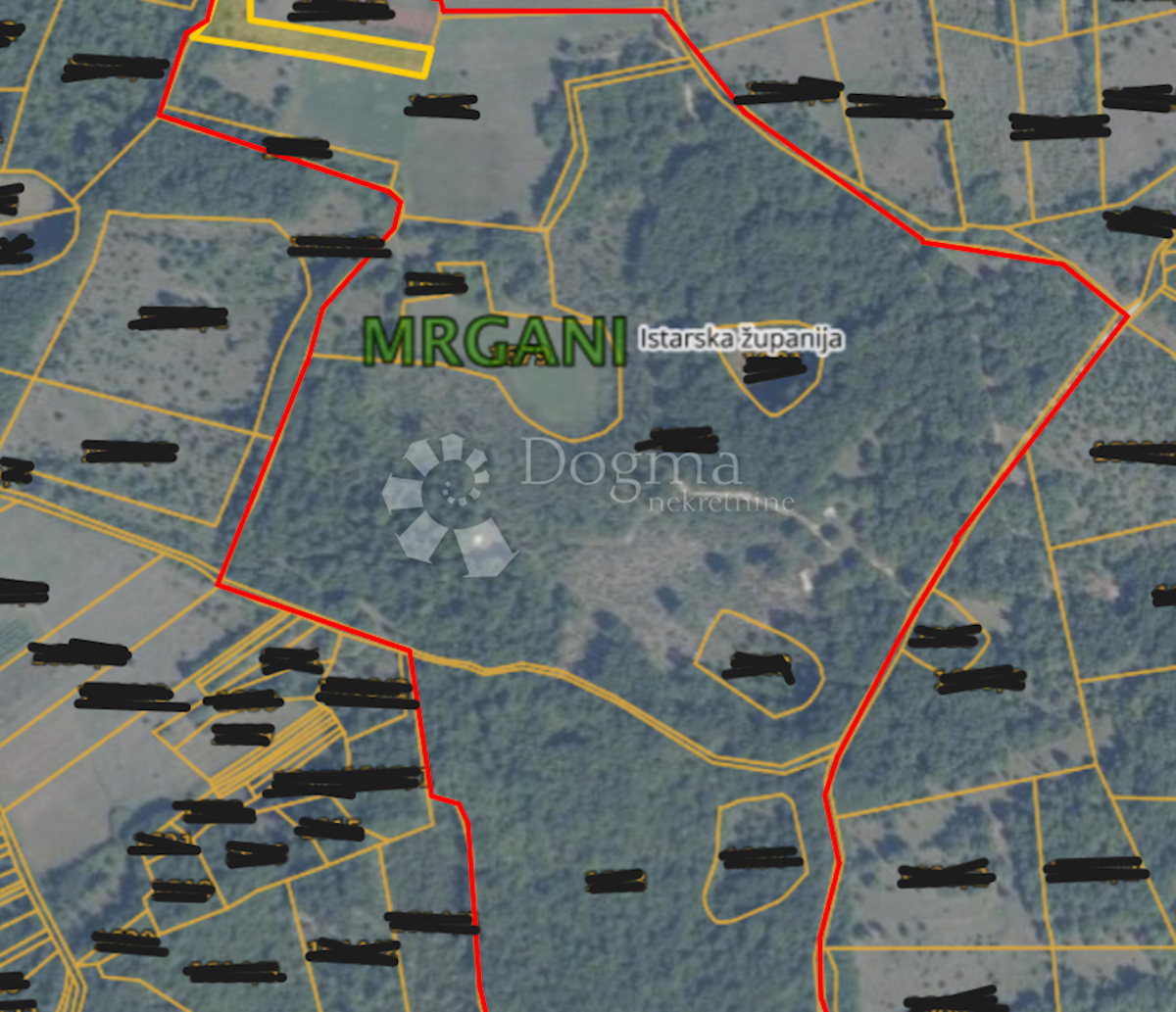 MRGANI