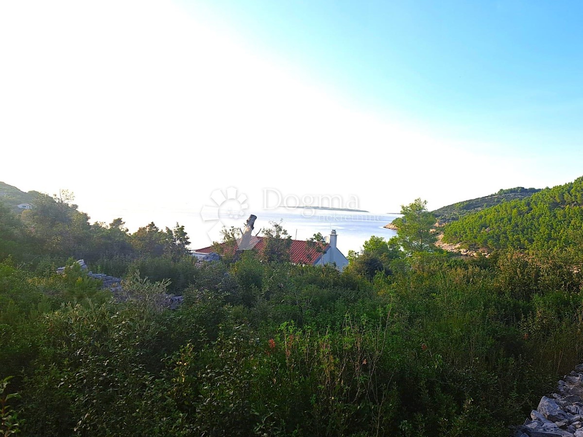VELA LUKA