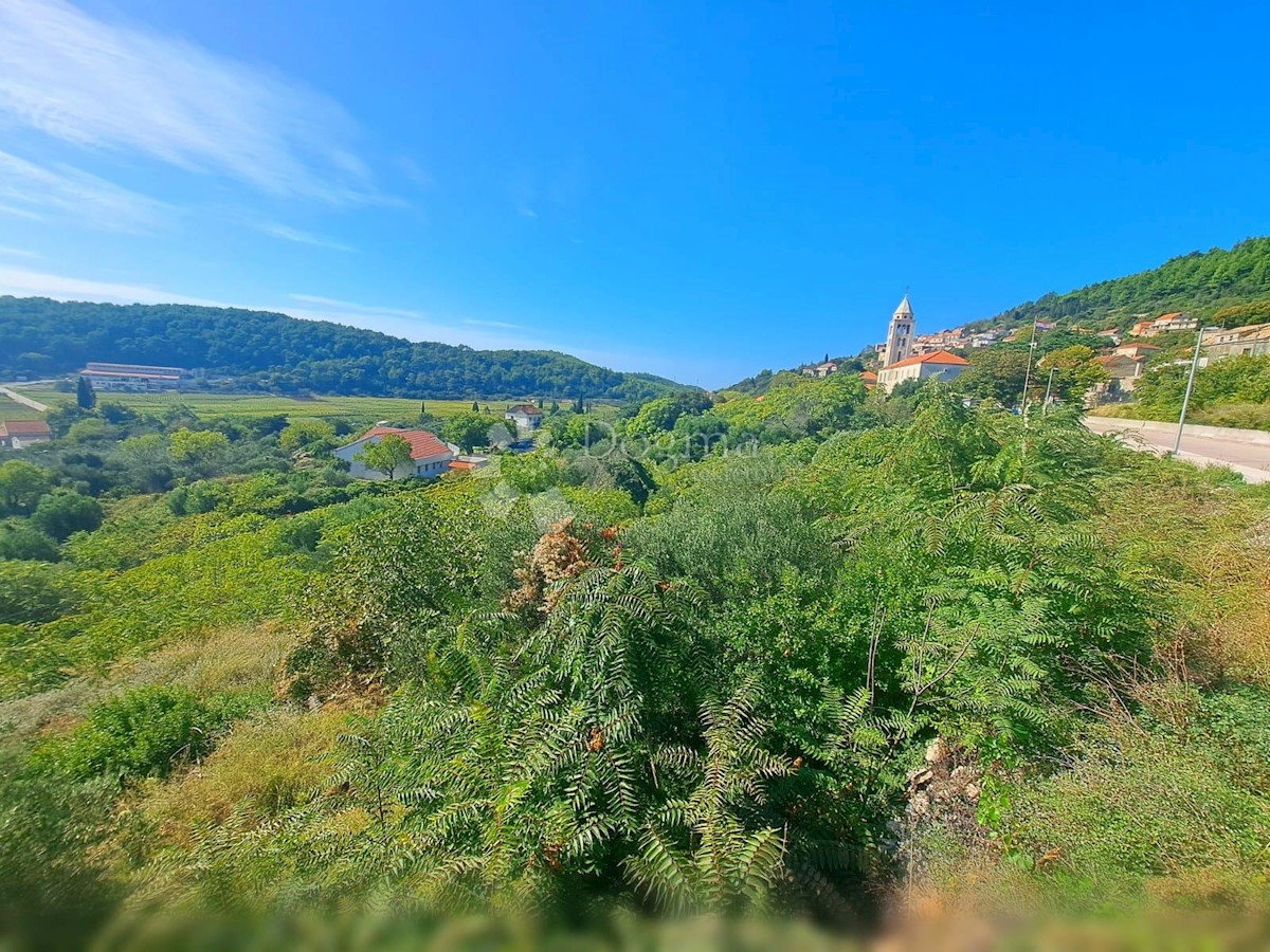 ČARA