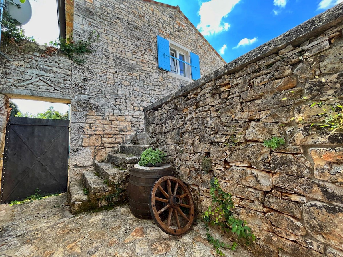 VRSAR
