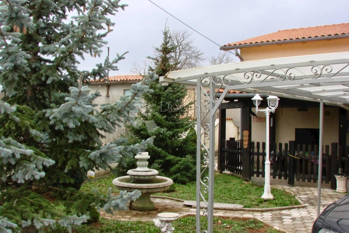 JURIĆI