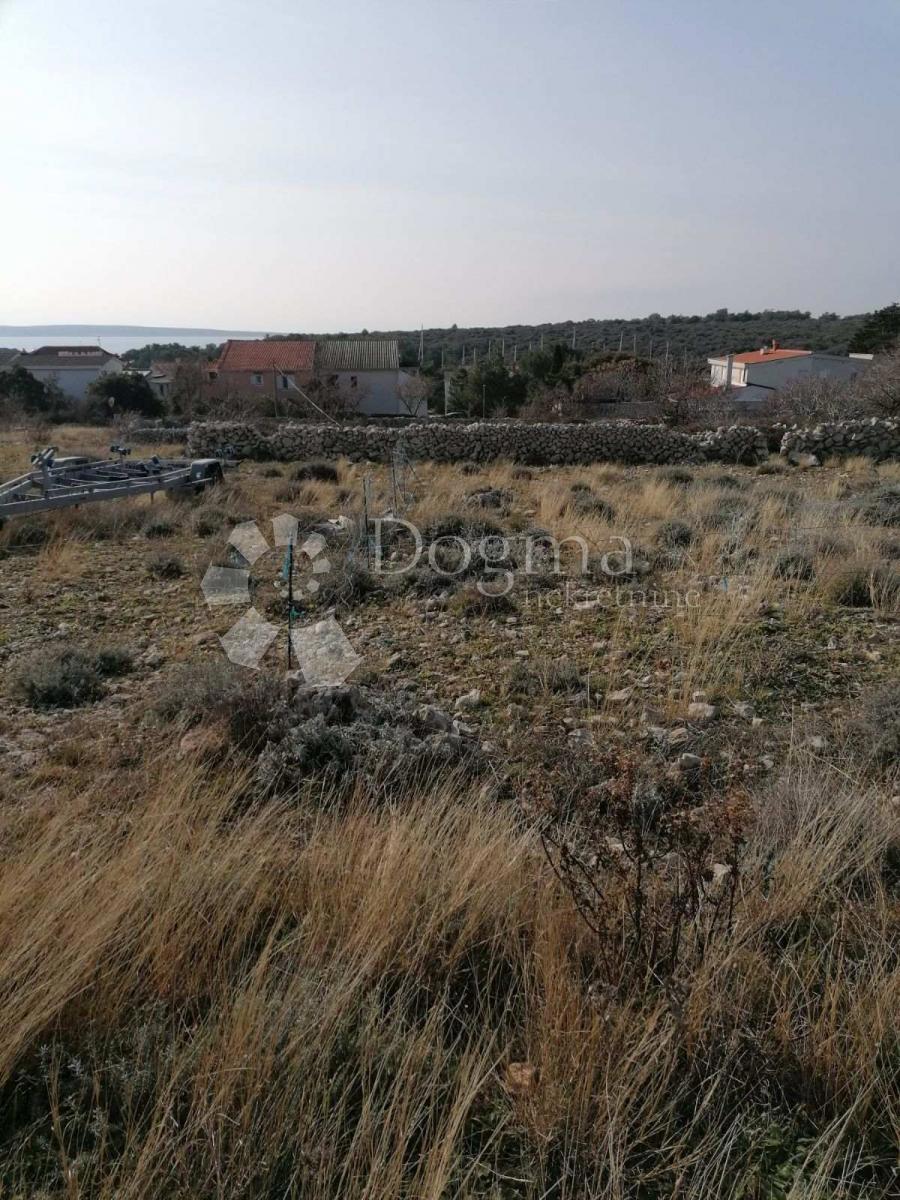 ŠIMUNI