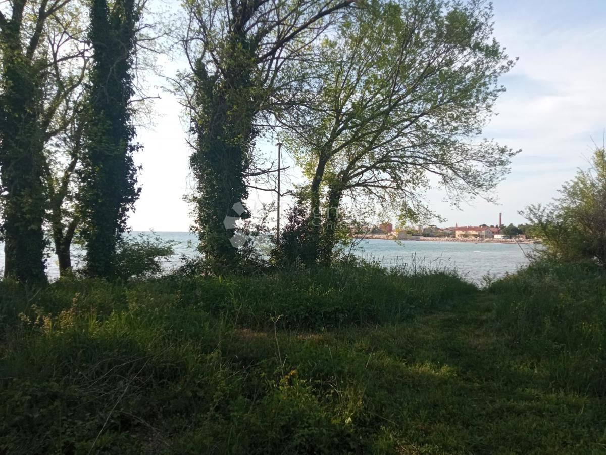 UMAG