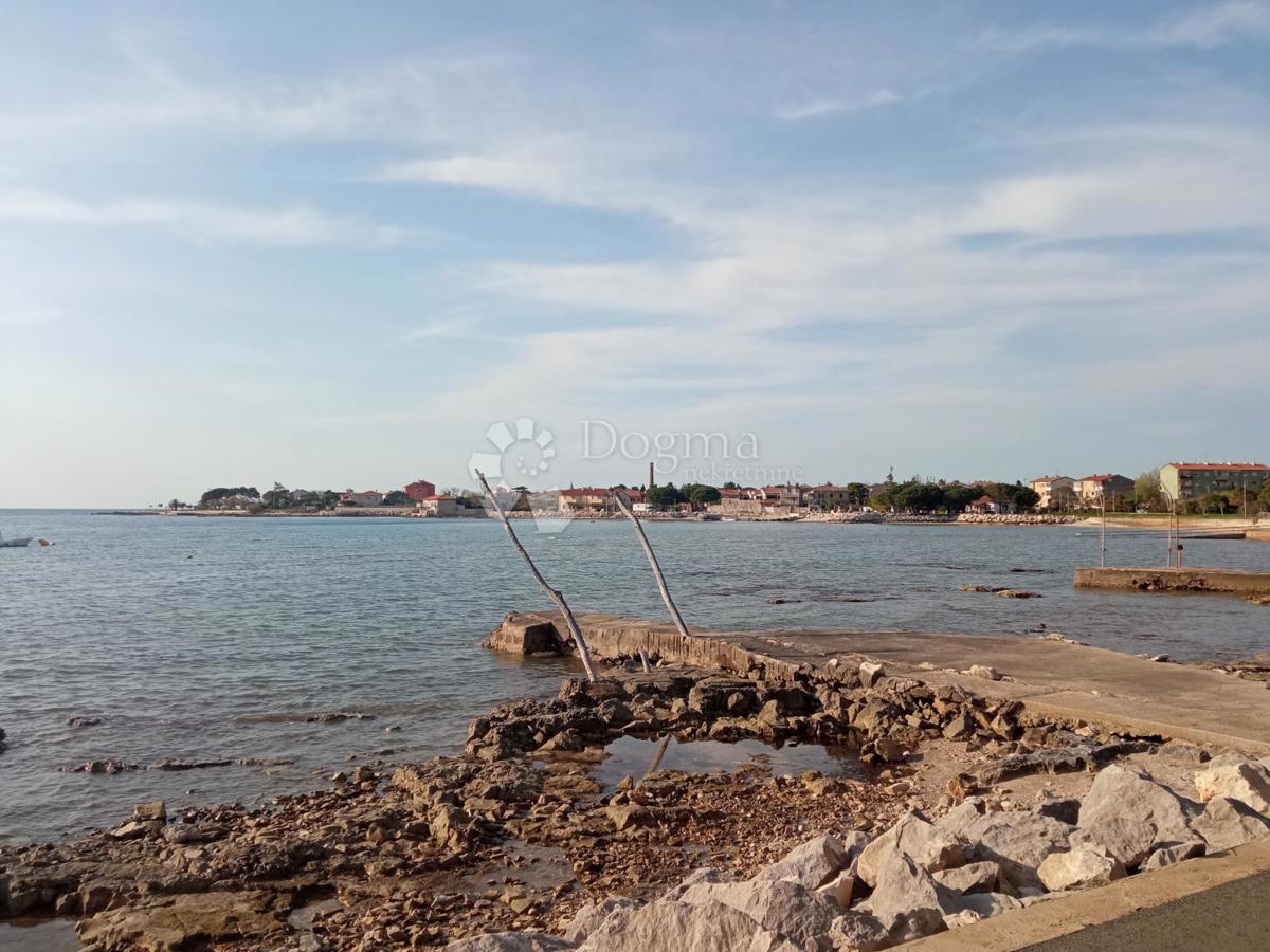 UMAG