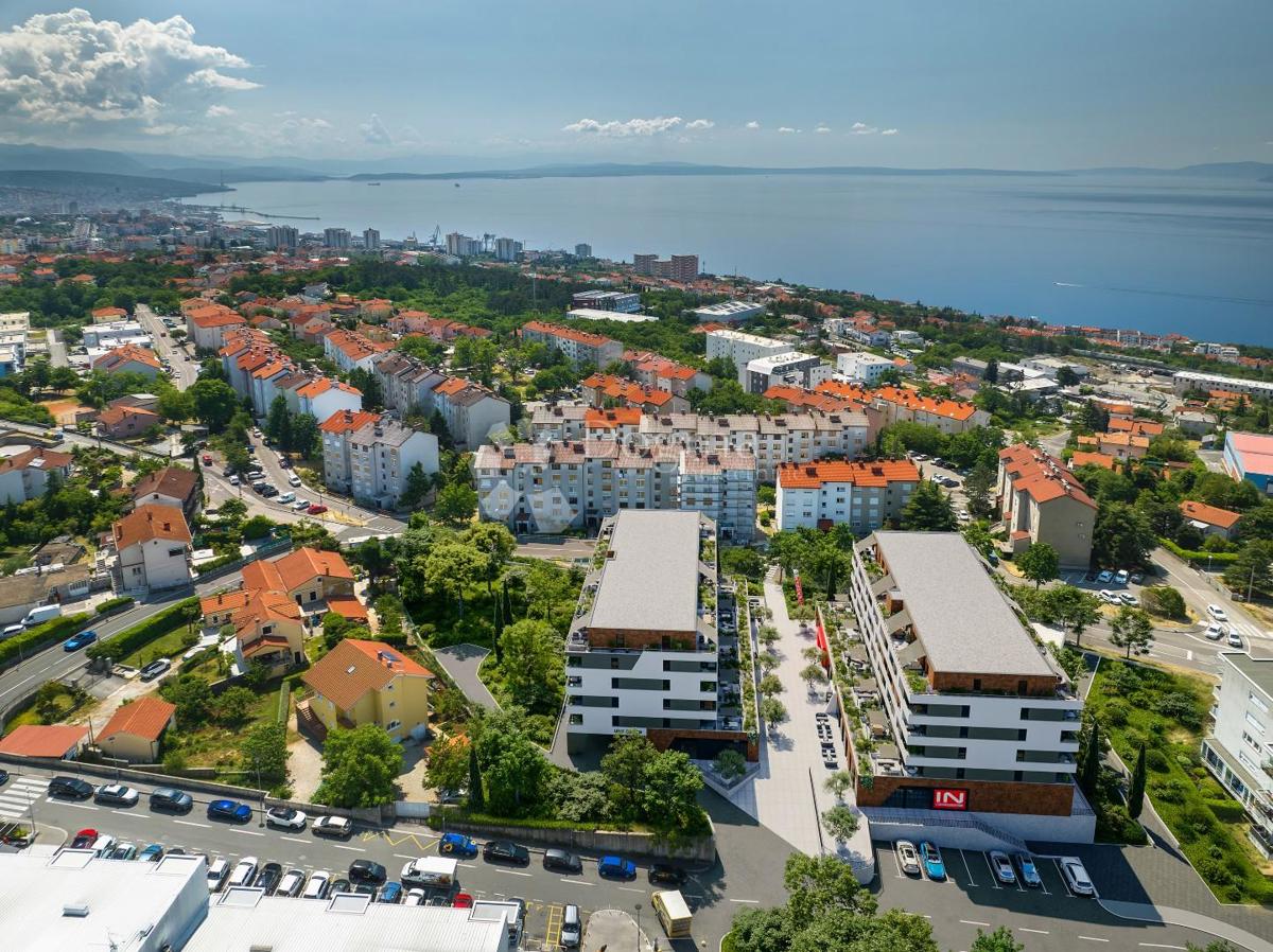 SRDOČI