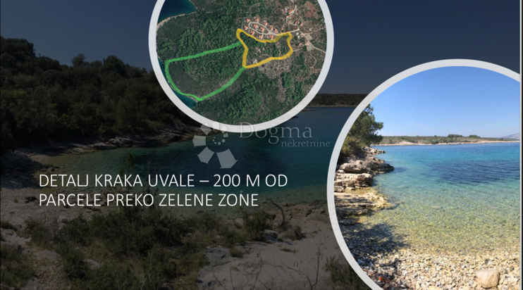 HVAR