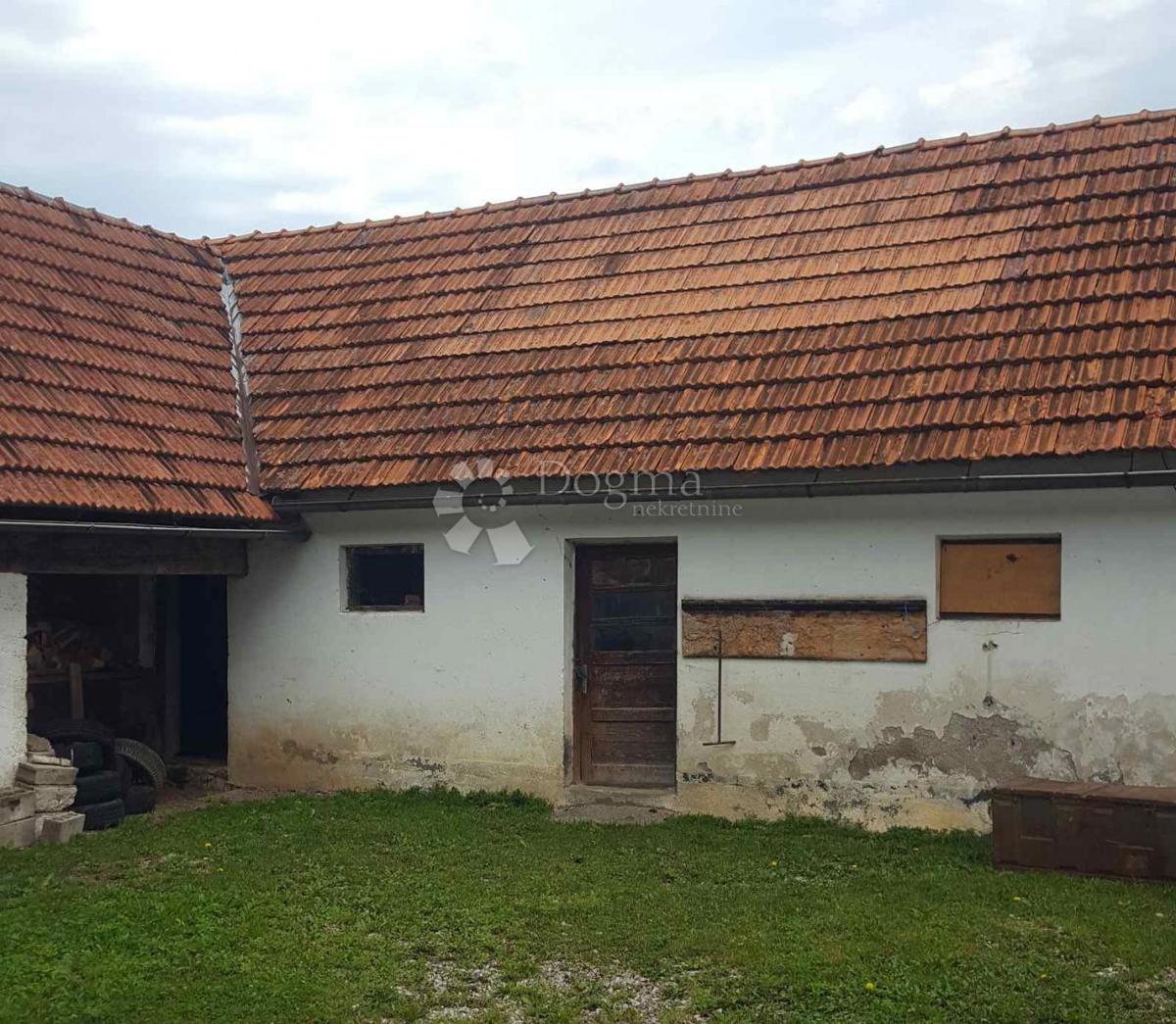 JANJA GORA