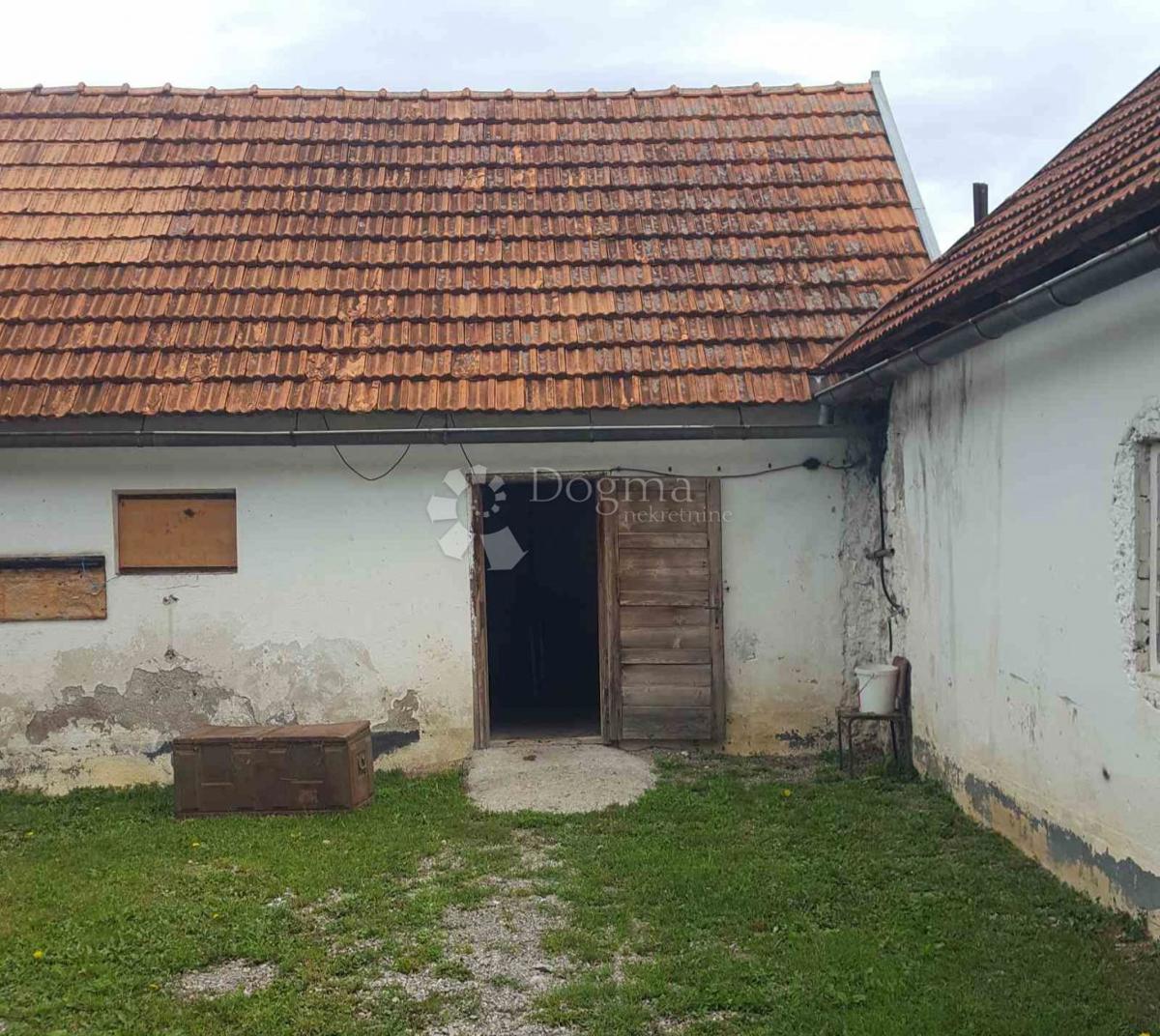 JANJA GORA