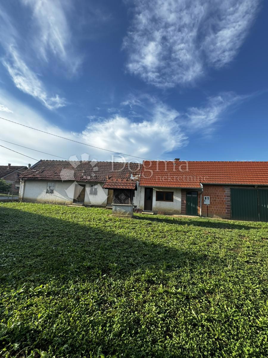 ŽDRALOVI
