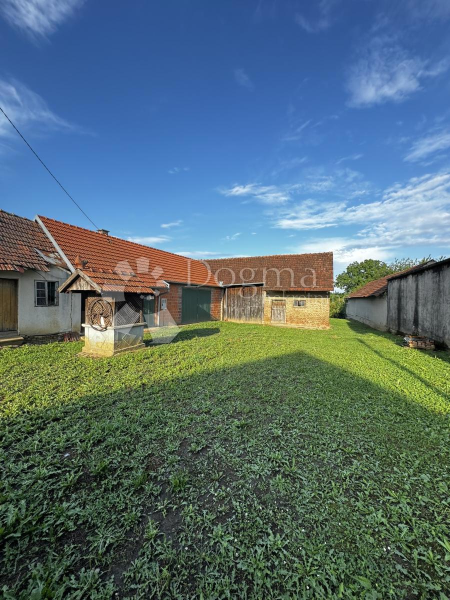 ŽDRALOVI
