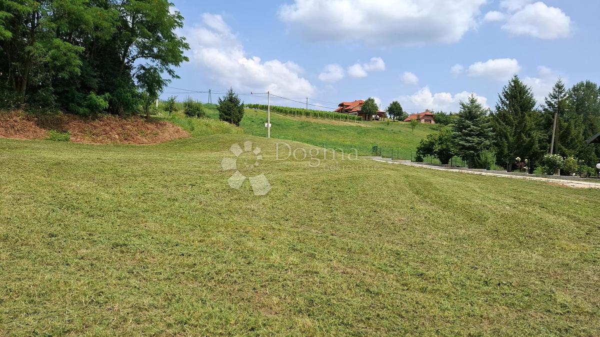 DONJA PLEMENŠĆINA