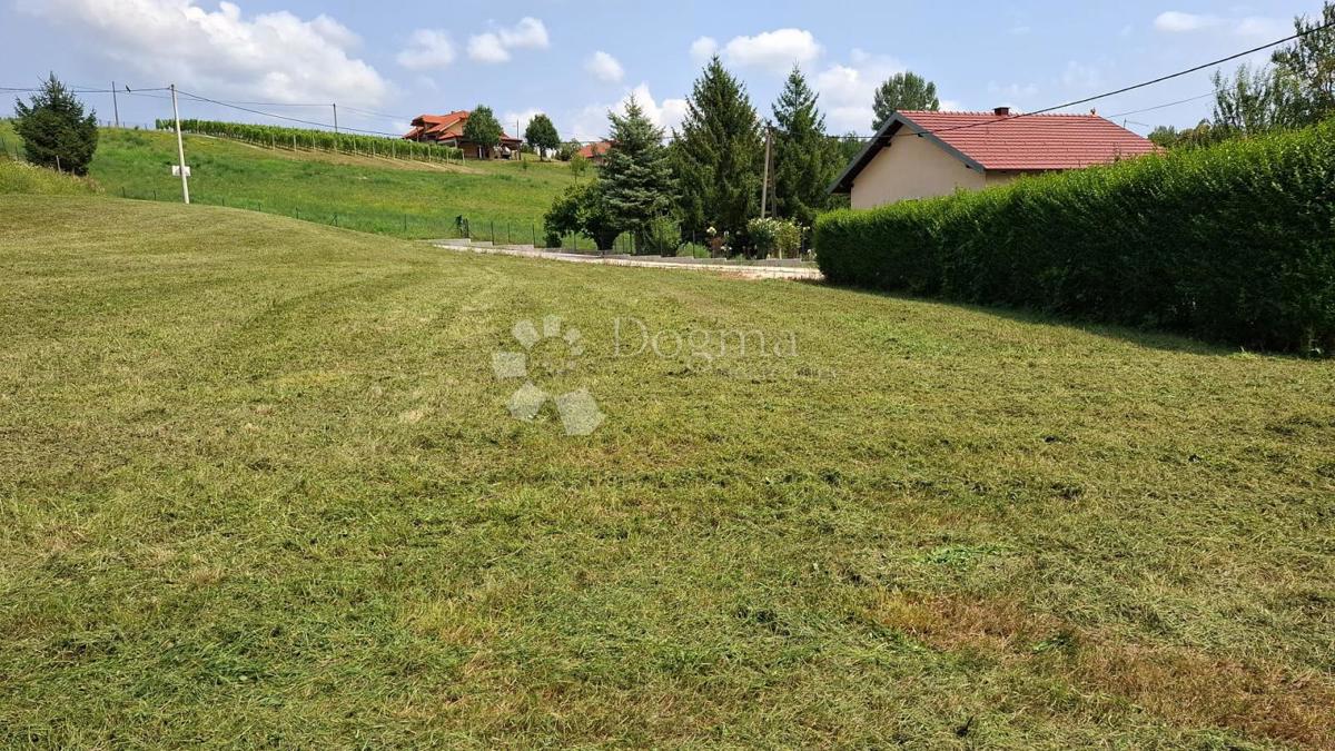 DONJA PLEMENŠĆINA