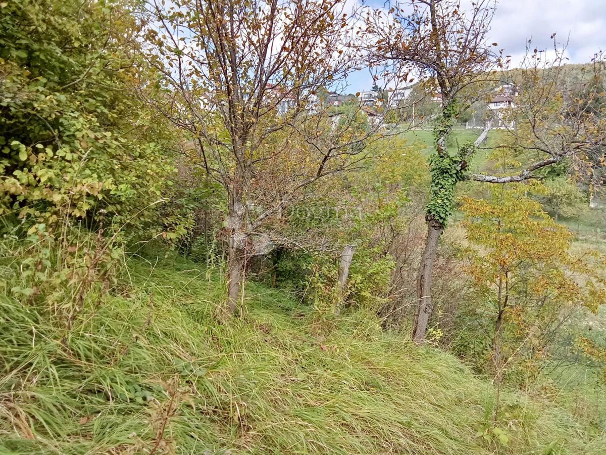 GORNJI LUKŠIĆ